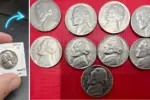 1950 Jefferson Nickel and 4 More Valuable Coins Worth Over $40 – Are They in Your Collection